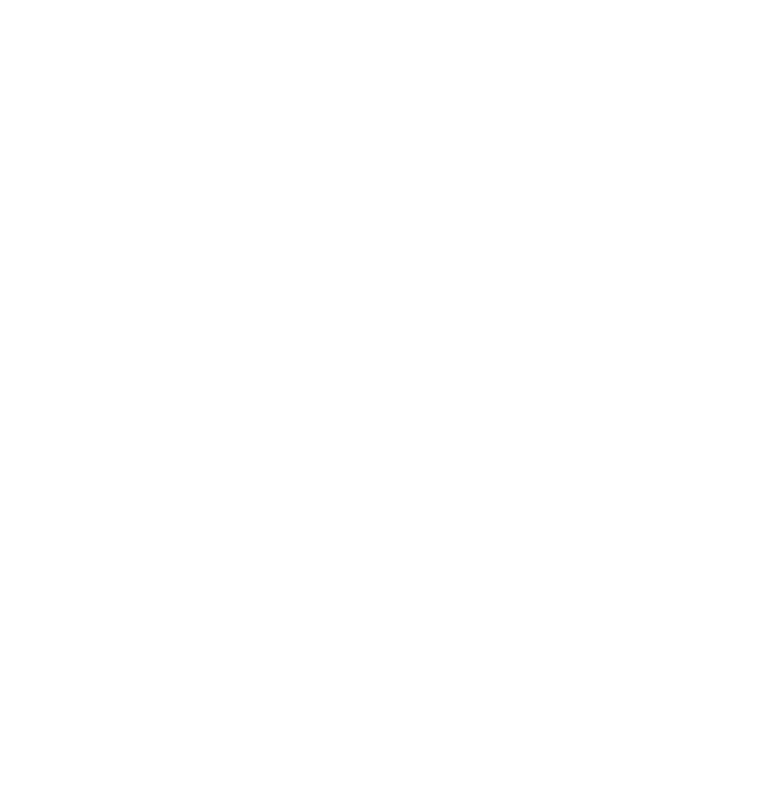 Lion Group